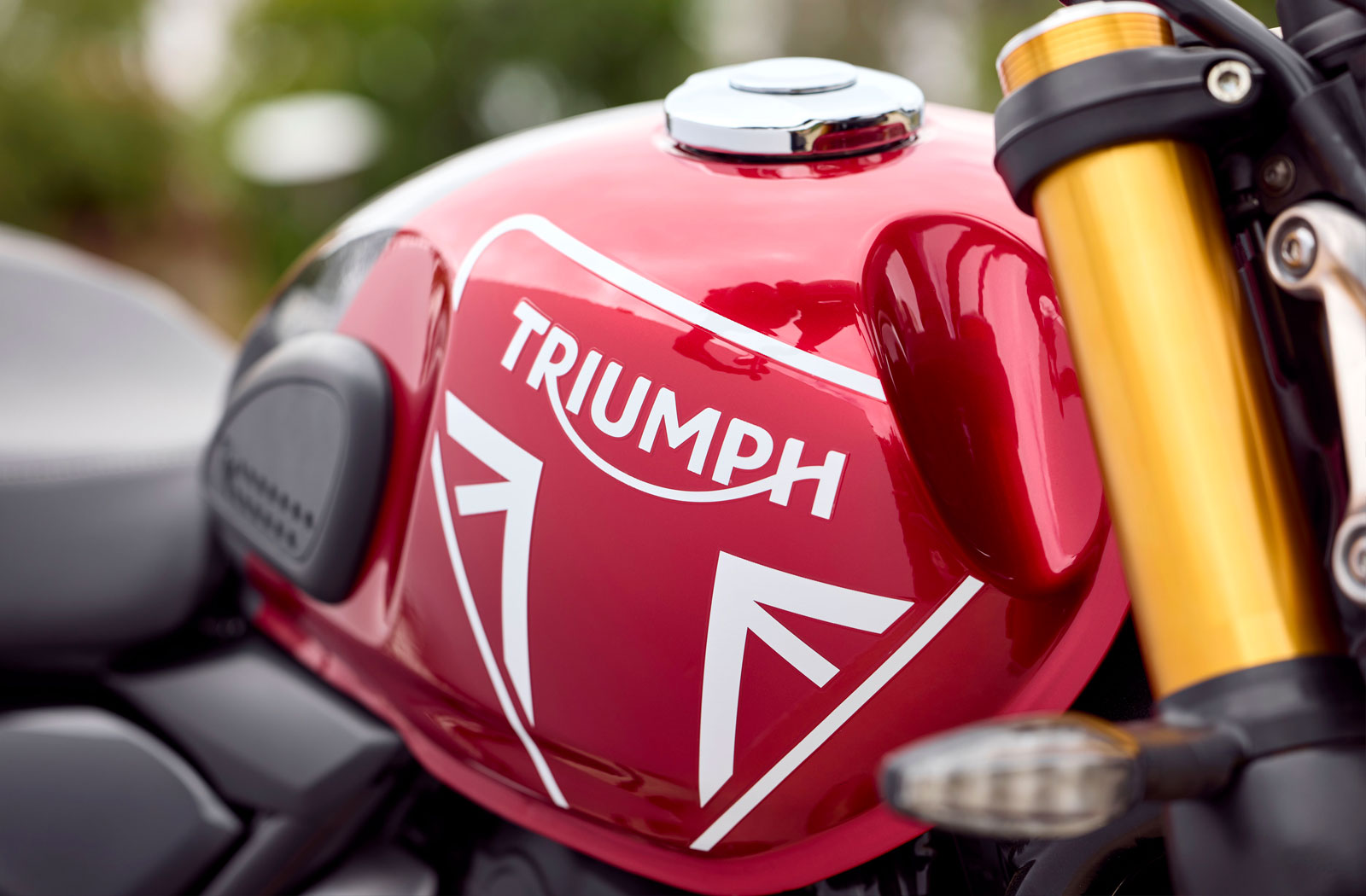 2024 Triumph Speed 400